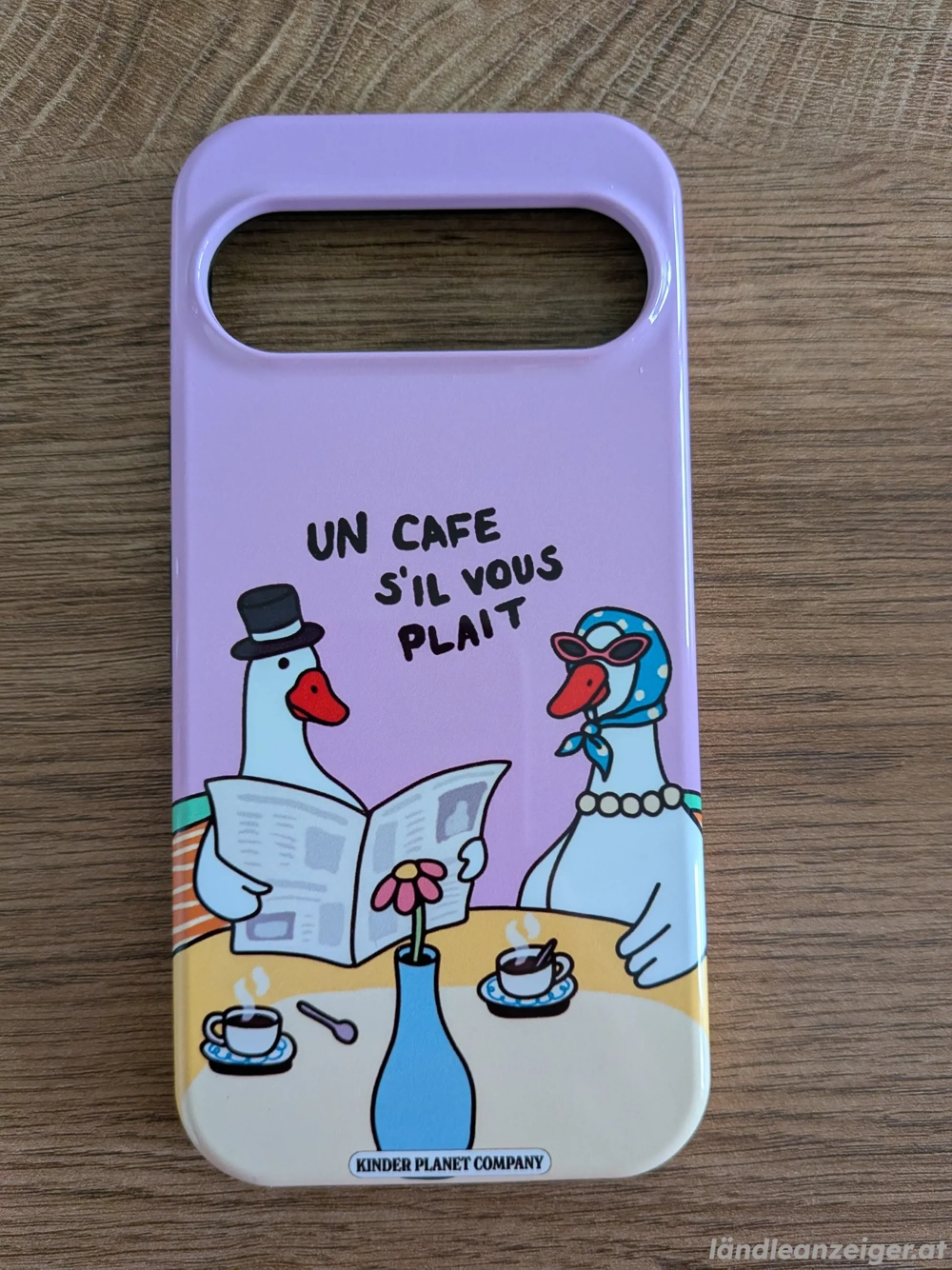 Handyhülle (Pixel 9 9 Pro)