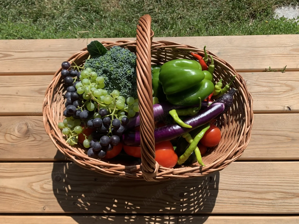 Grundstück gesucht für einen naturnahen Garten