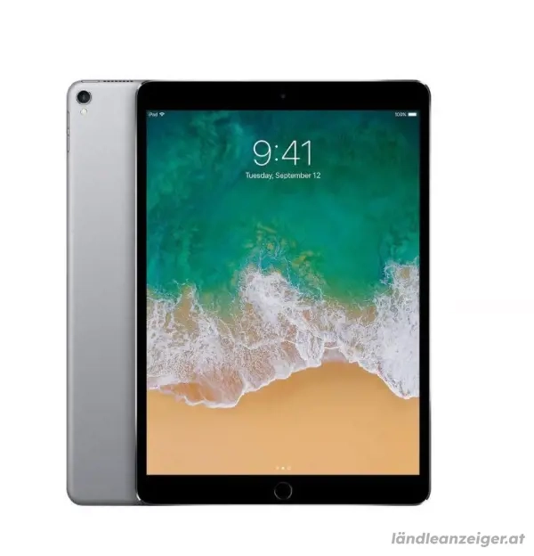 iPad Pro 2017 256Gb mit Hülle und Verpackung 