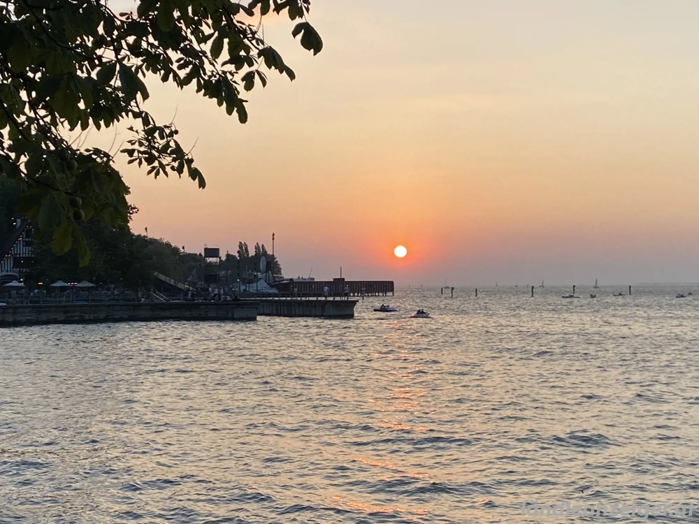 Private Massagefee gesucht 