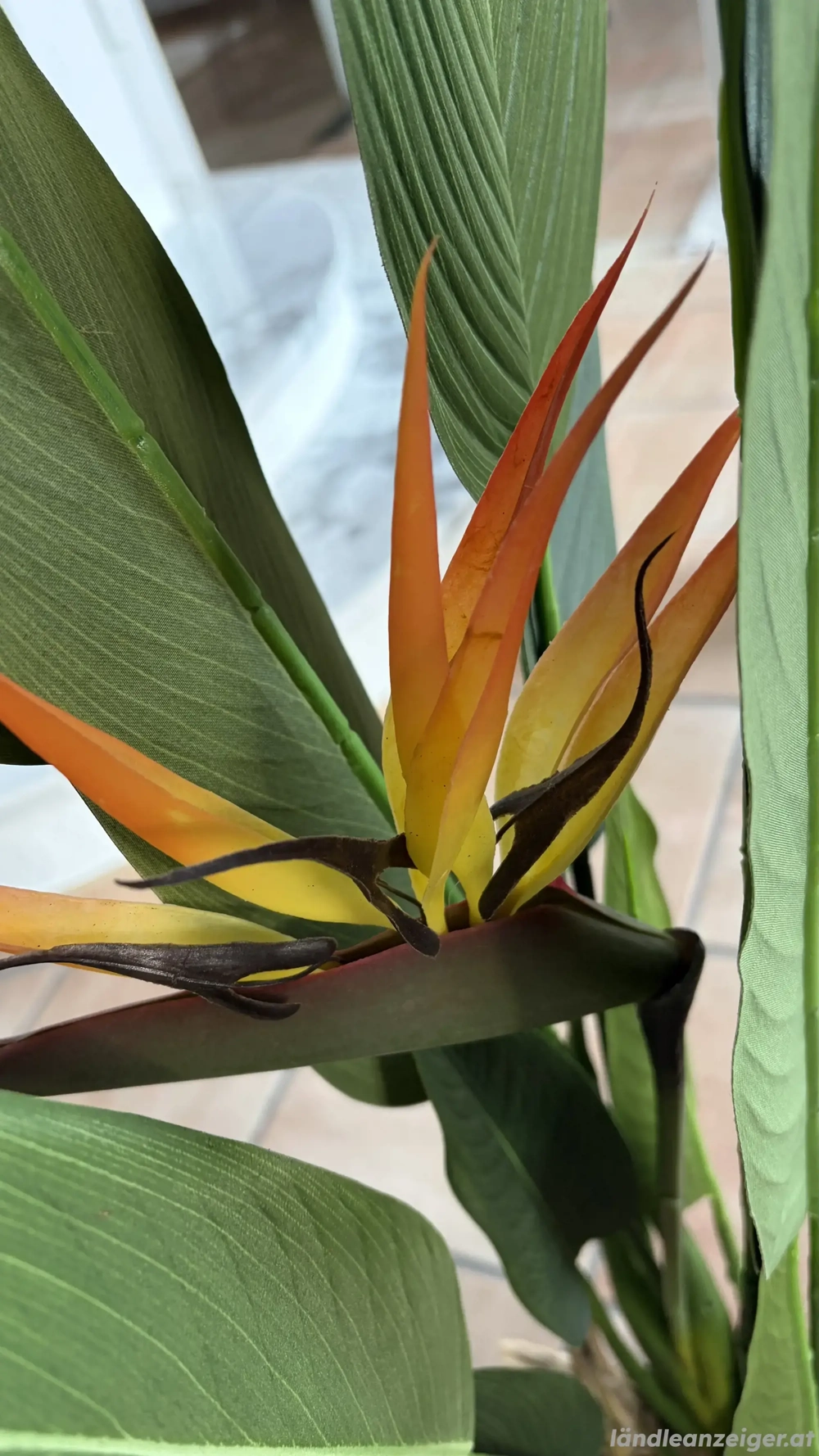 Kunstpflanze Strelitzia - sieht aus wie echt