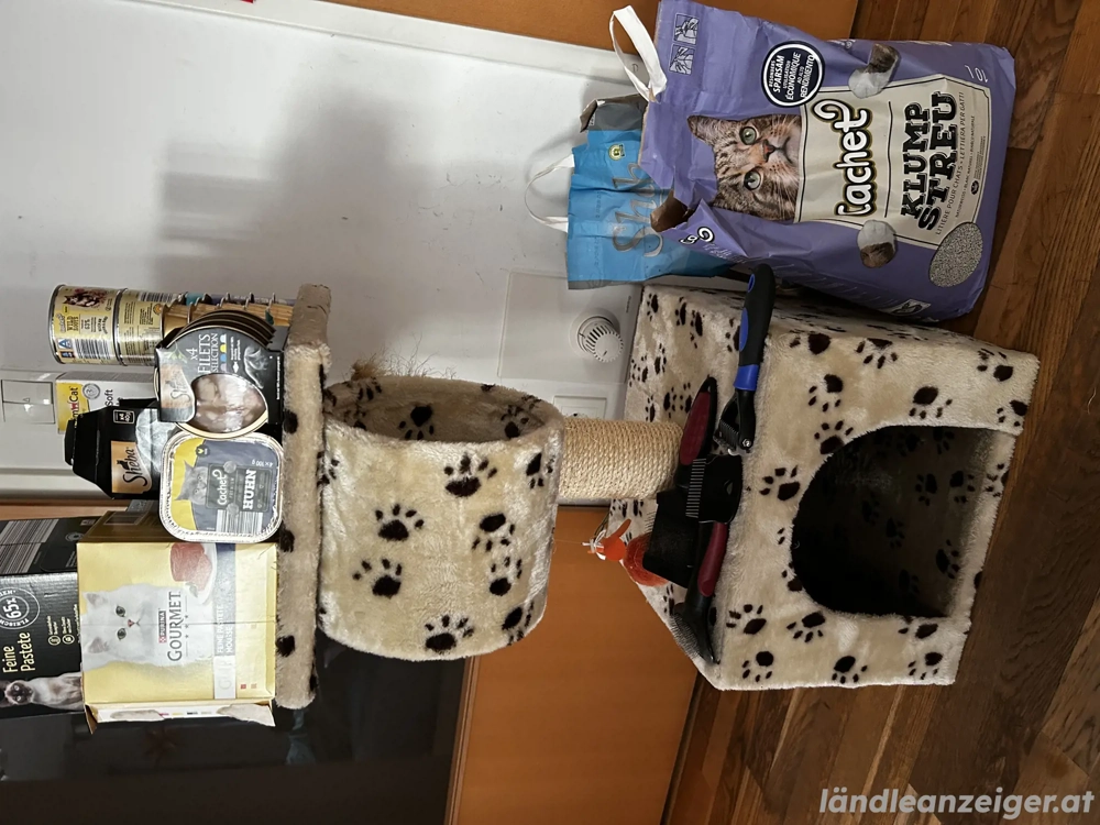 Katzen-Kratzbaum mit Zubehör 