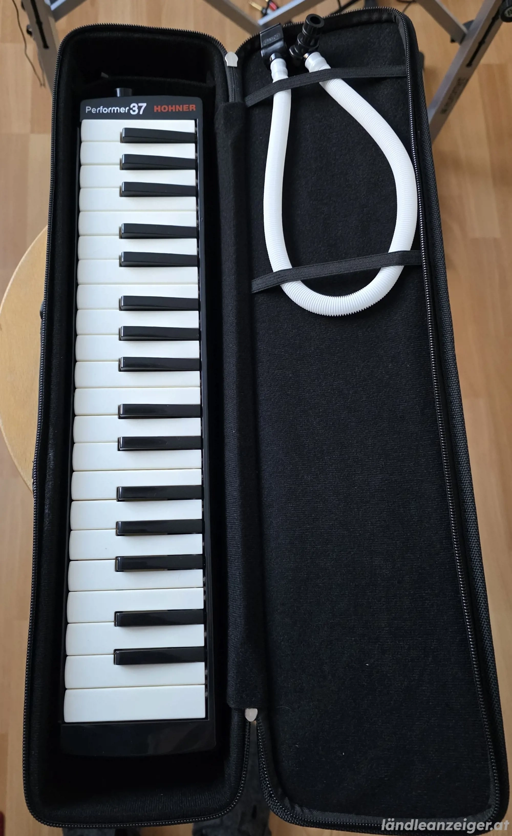 hohner melodica