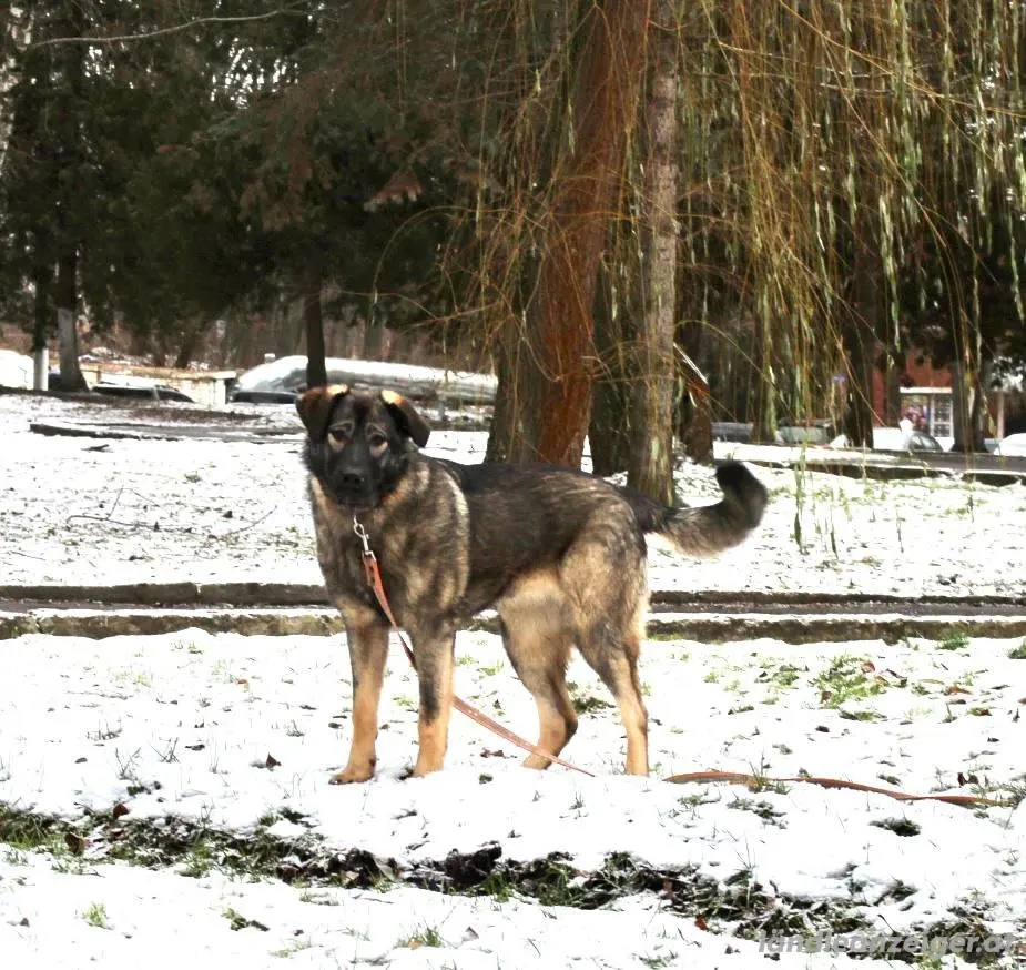 Selbstbewusste Tosya sucht aktive Menschen