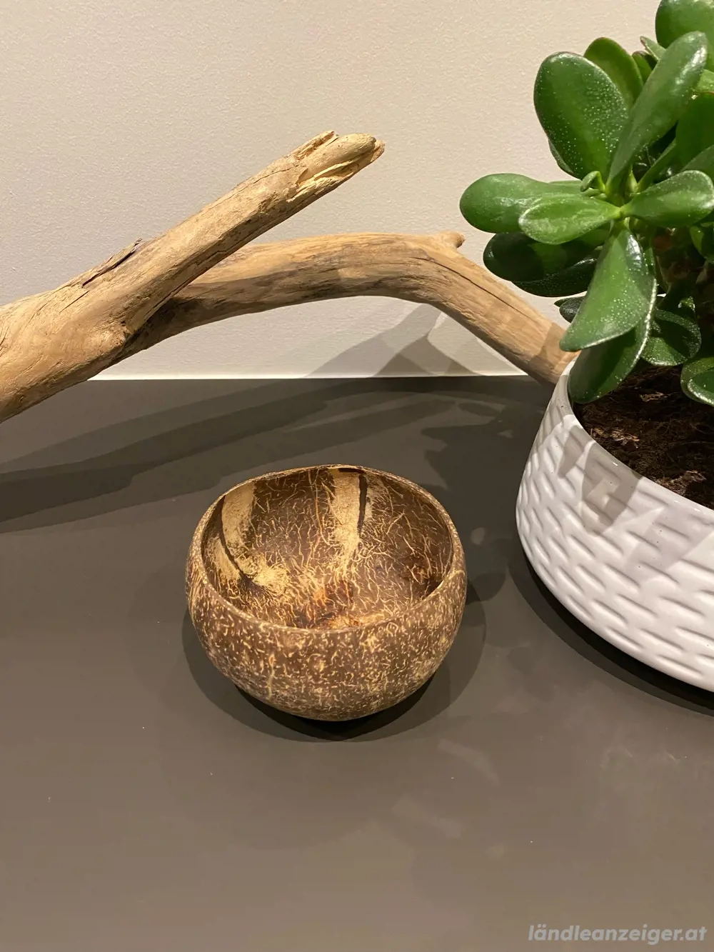 Kokosnuss Schale   Bowl