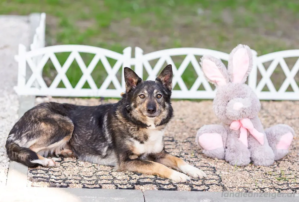 Ruhige Abi sucht ihren Platz