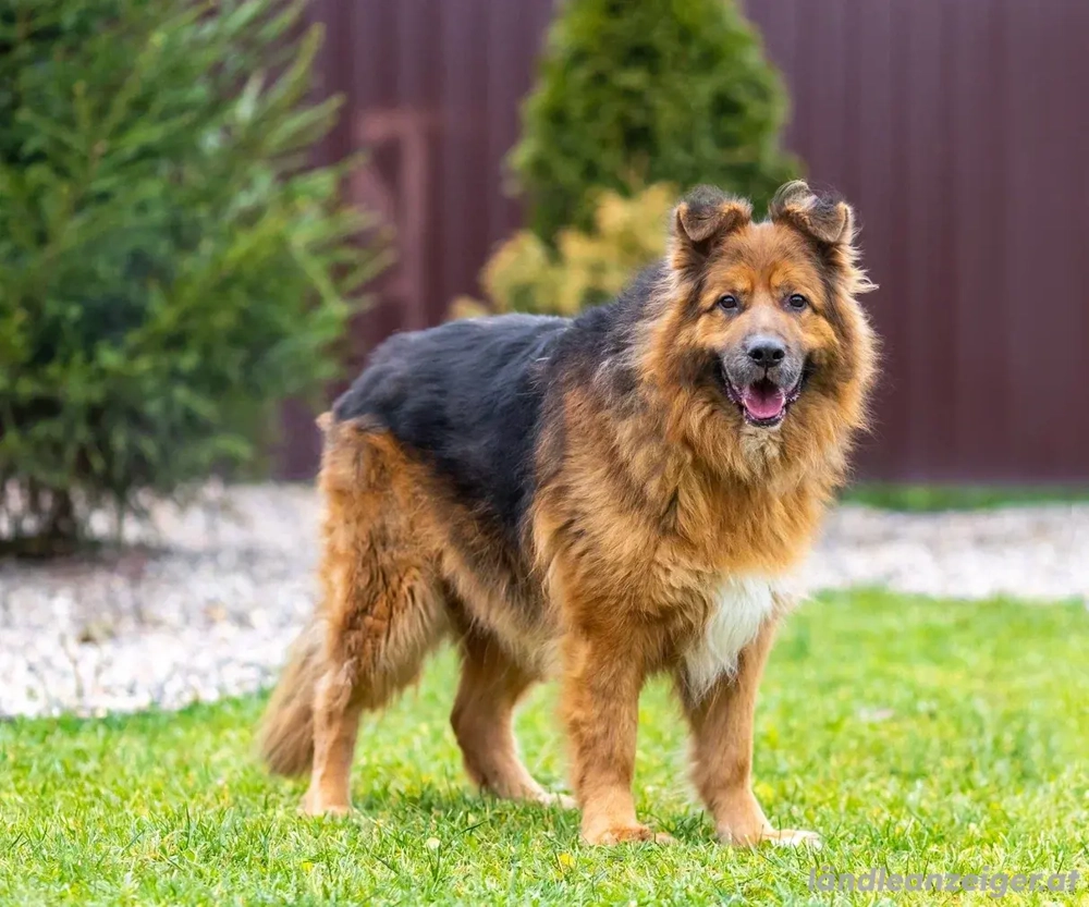 Bekommt Rakhat eine 2.Chance?!