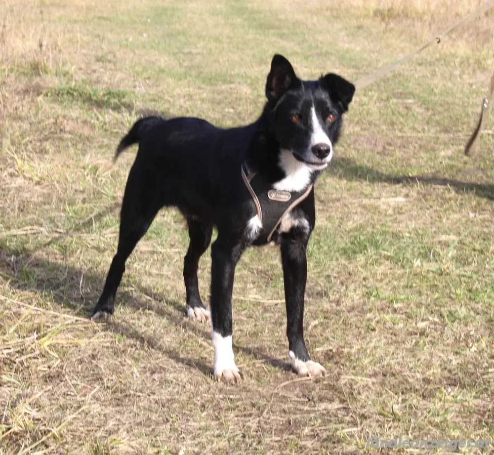 Mike sucht Traumzuhause 