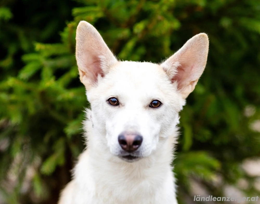 Wer nimmt Mickey in sein Leben..?!