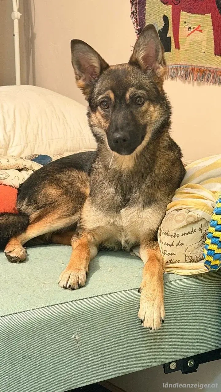 Charmante Betty sucht Familie