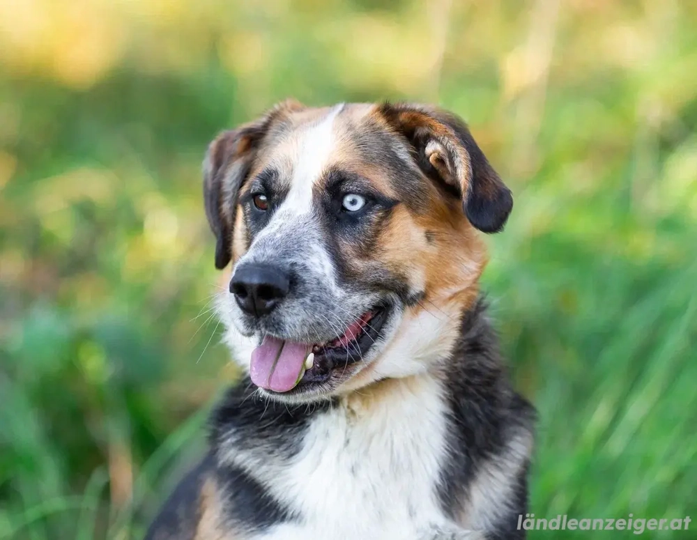 Tyson will nochmal seine ganze Liebe zeigen