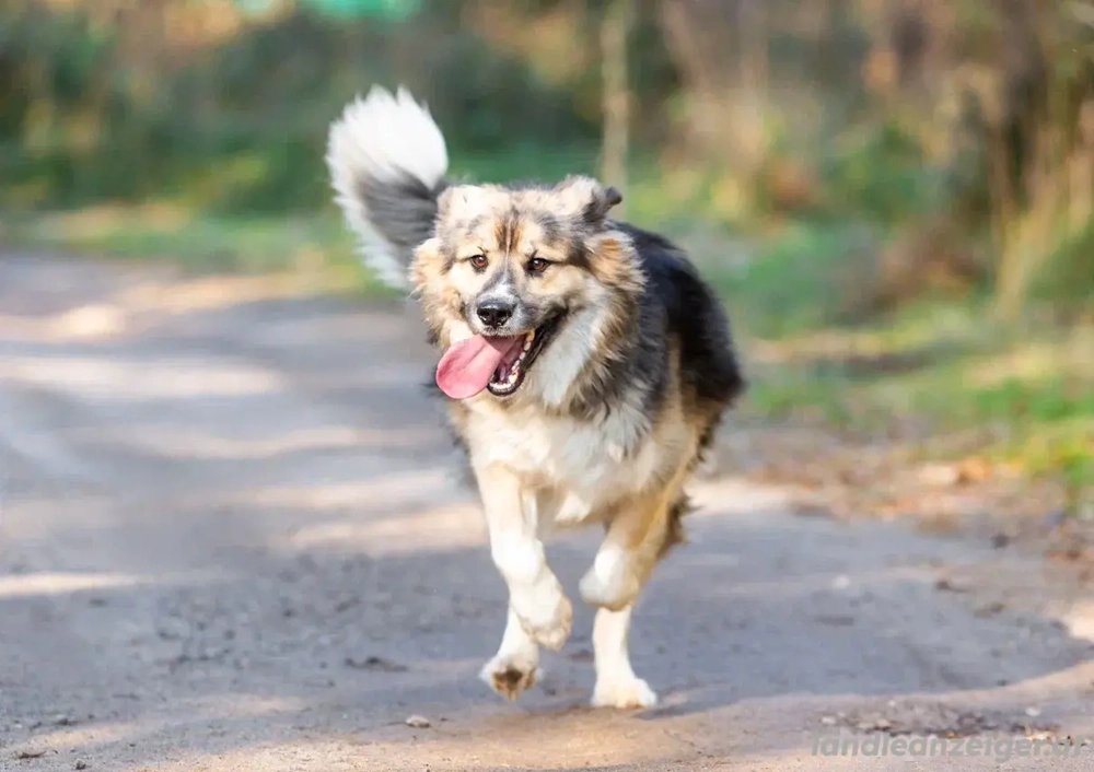 Dick sucht neue liebe Menschen