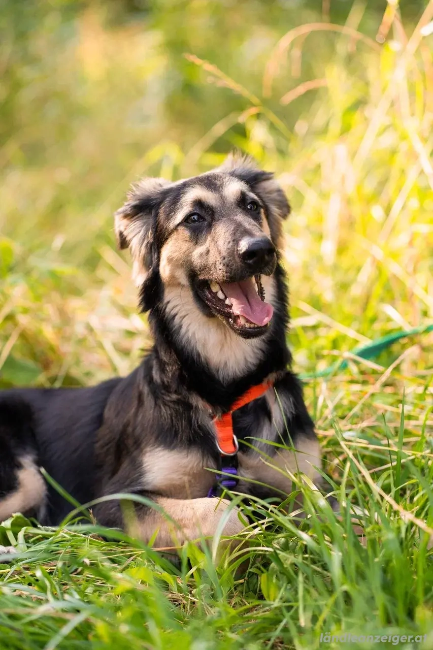 Der mutige Philip sucht seine Menschen