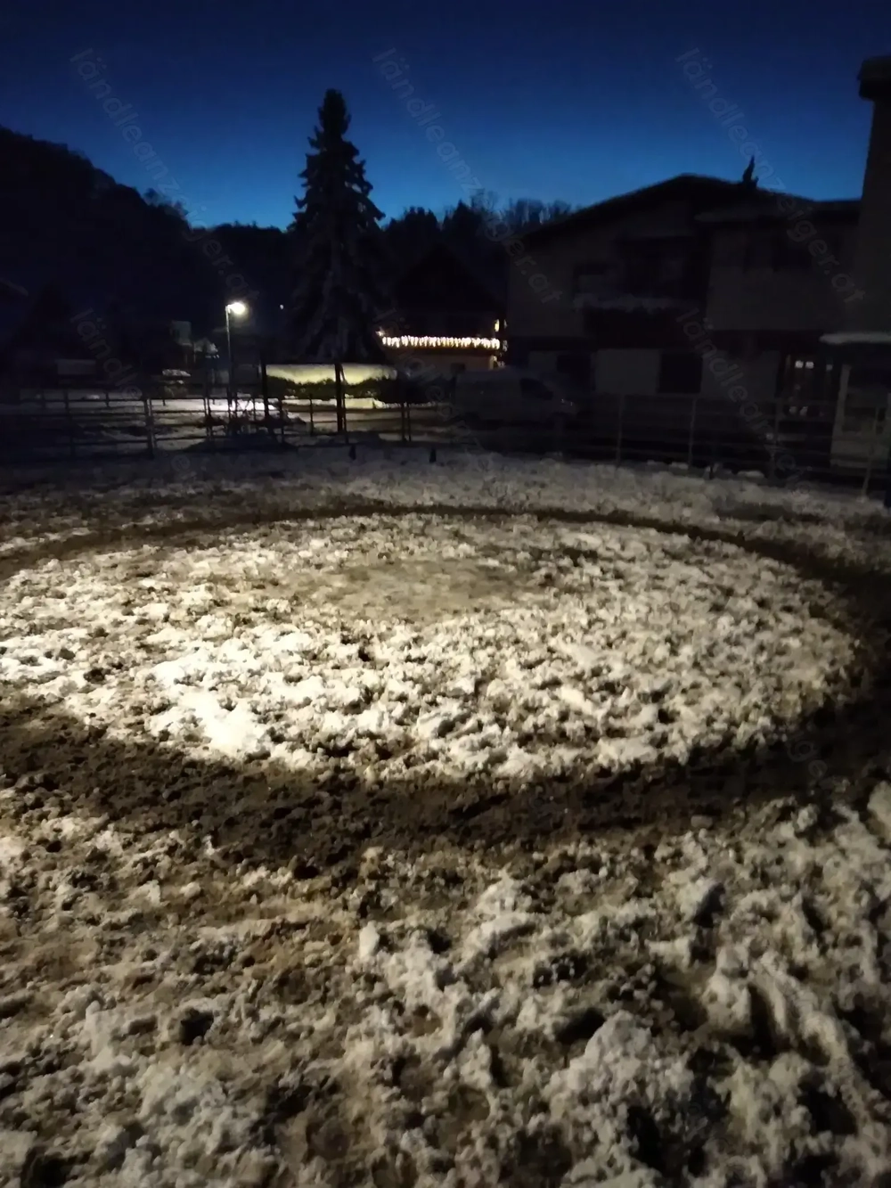 Reitbeteiligung Isländerwallach zu vergeben