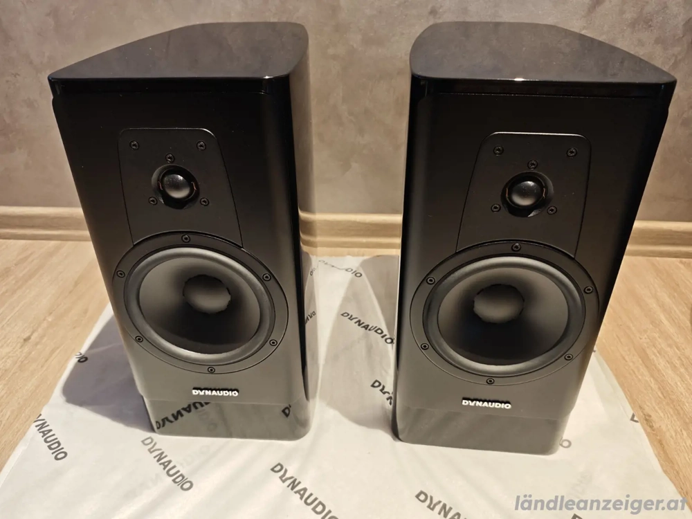 Dynaudio Contour Black Edition im Top Zustand