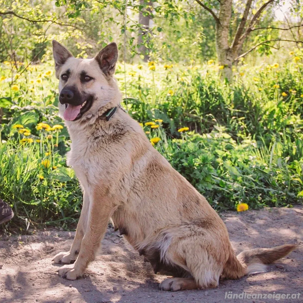 Wunderschöne Linda sucht
