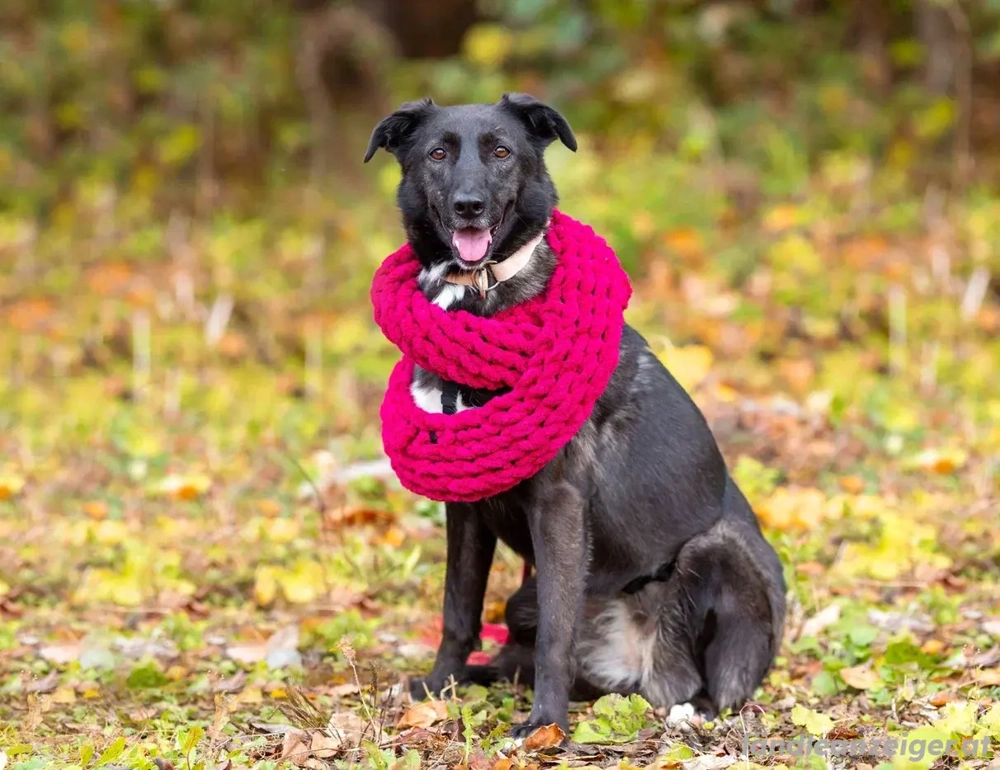Wunderschöne Jasmine mochte geliebt werden