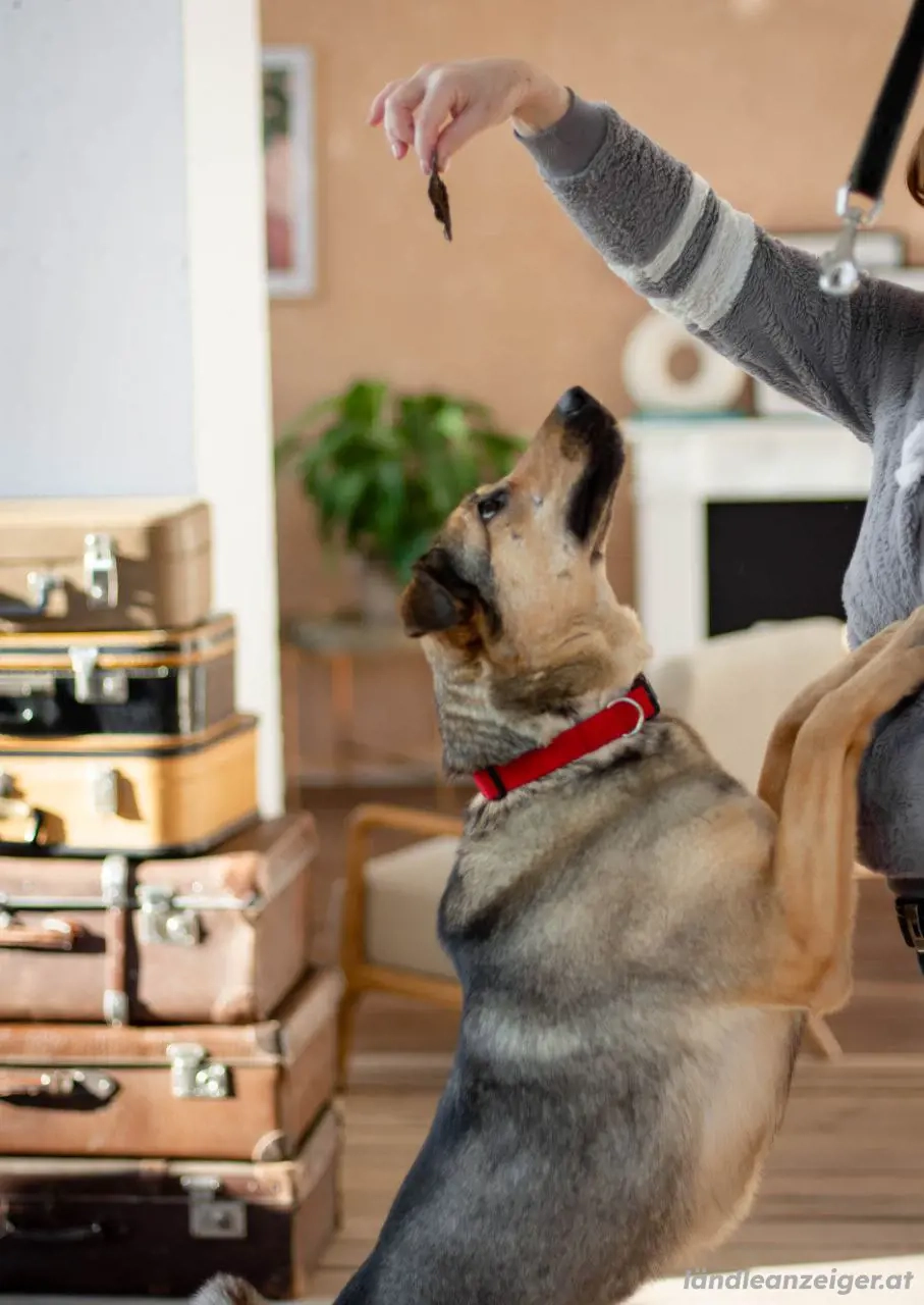 Wunderschöne Musya wartet auf dich