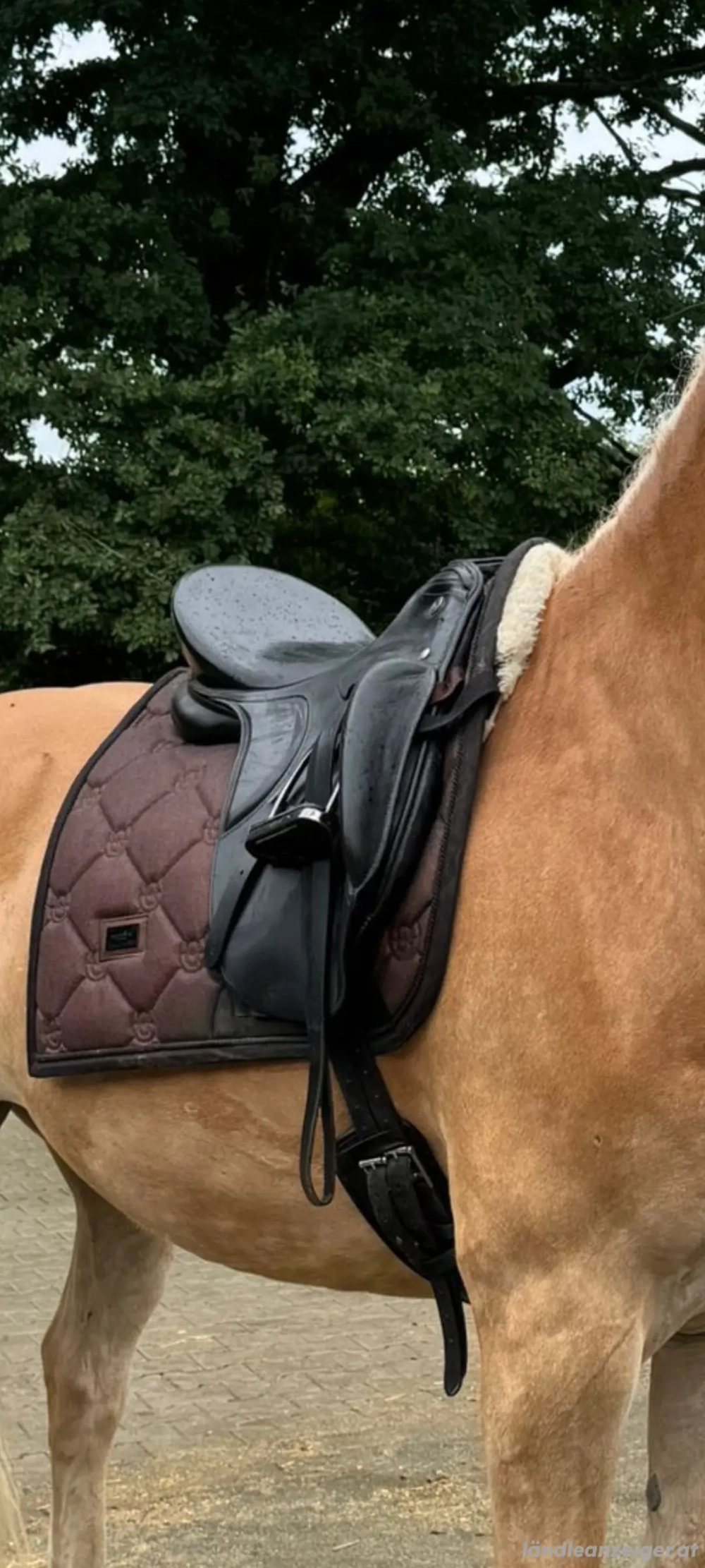 Sattel für Holzpferd