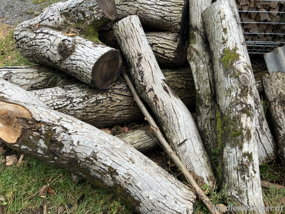 Nussholz, Drechselholz