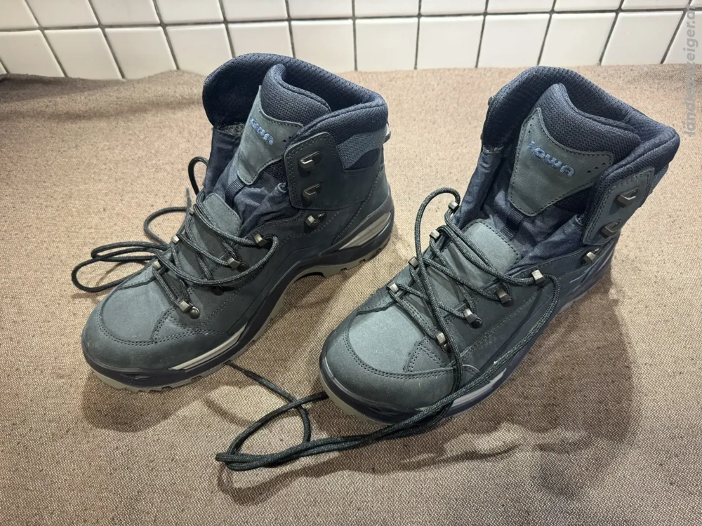 Lowa Renegade Evo Wanderschuh (neu)
