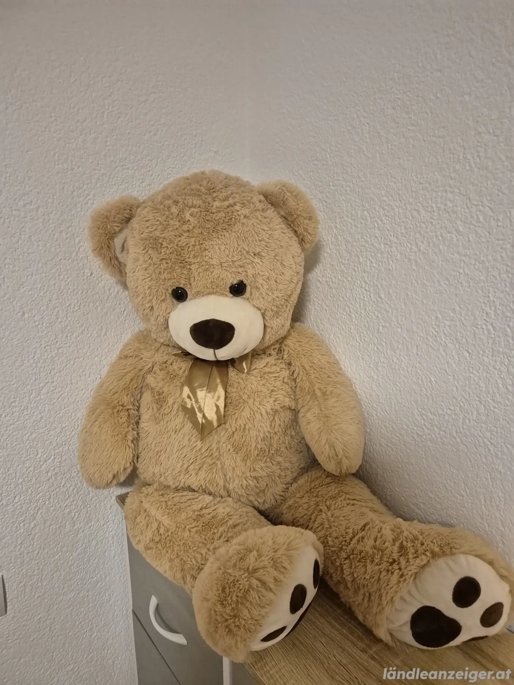 Plüschteddybär