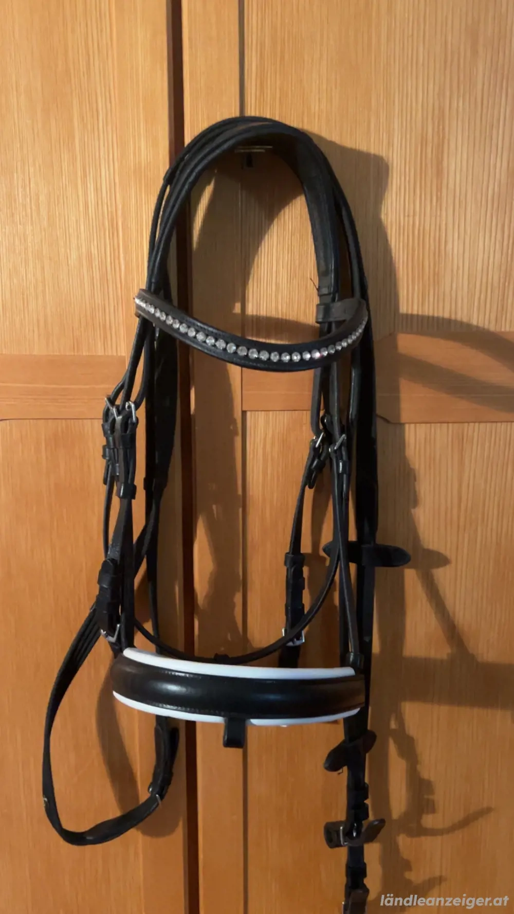 Trense mit Zügel zu verkaufen 