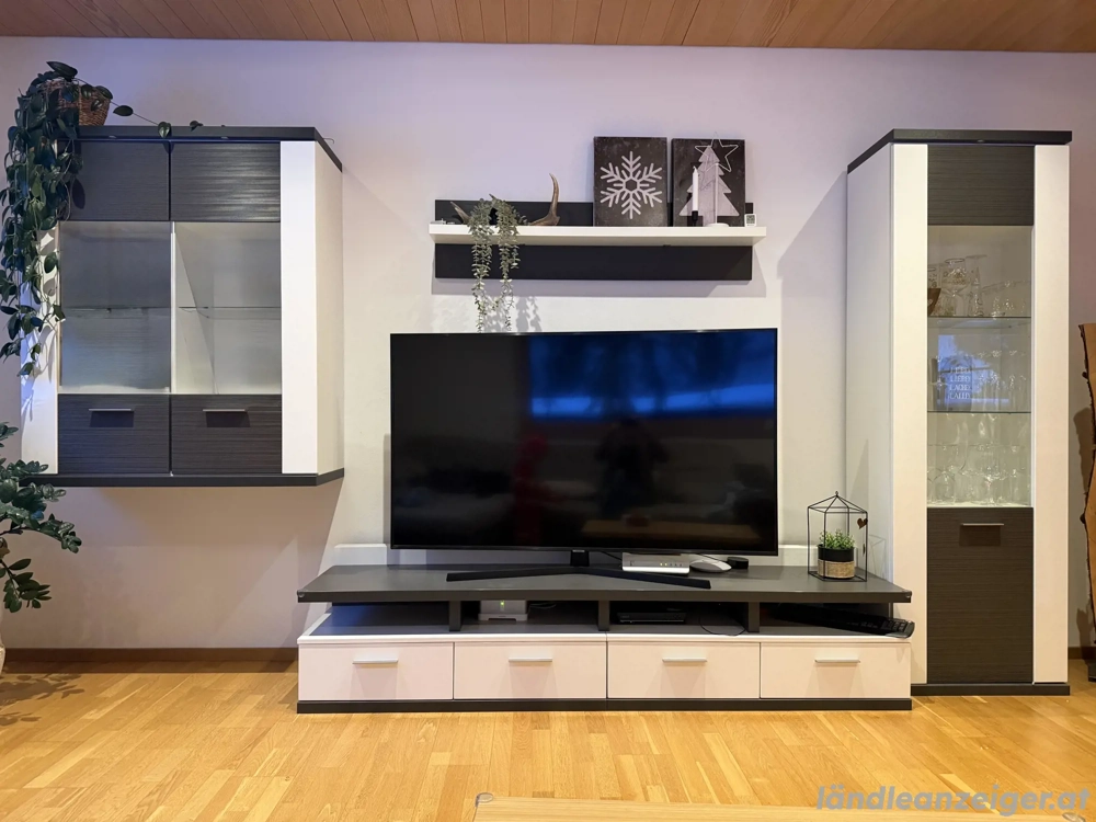 Wohnwand im sehr gutem Zustand 