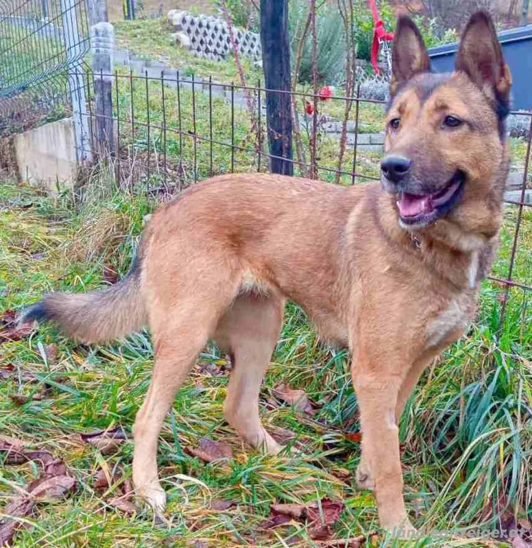 Trish freut sich auf IHRE Menschen