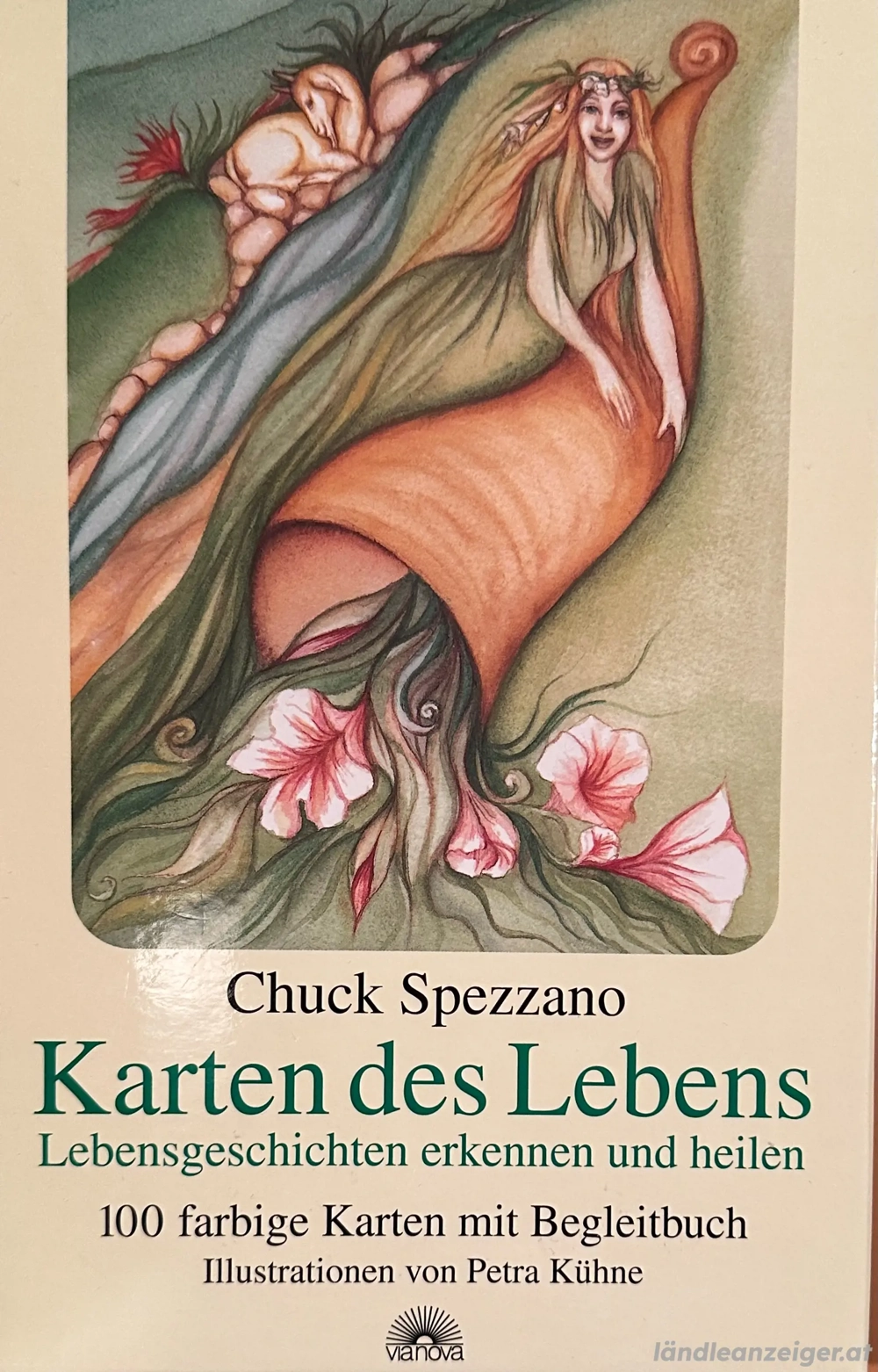 Karten des Lebens - Lebensgeschichten erkennen und heilen