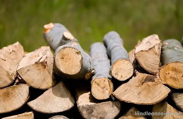 Brennholz, gut getrocknet, 50   pro Ster.