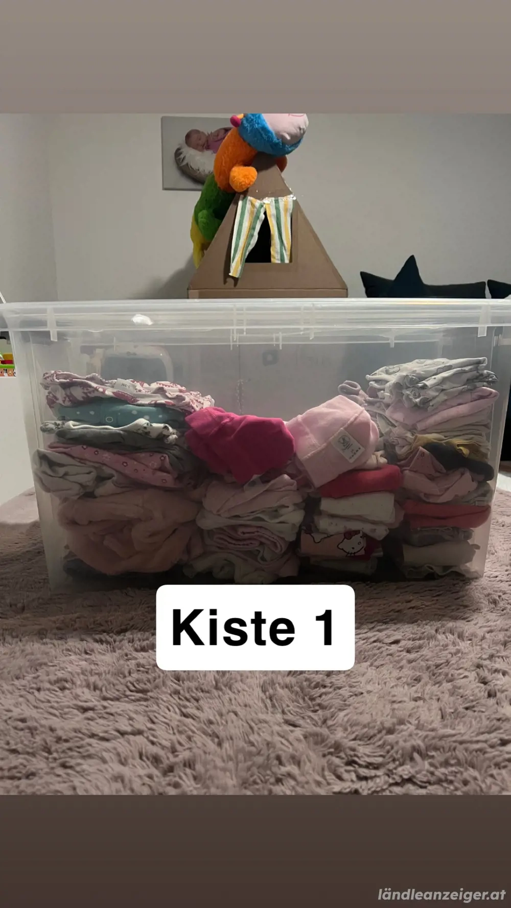 Bekleidungspaket Mädchen Gr 50 56