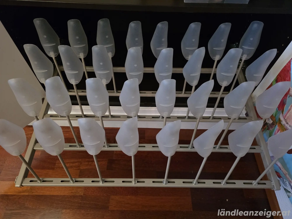 IKEA PAX Schuhauszug