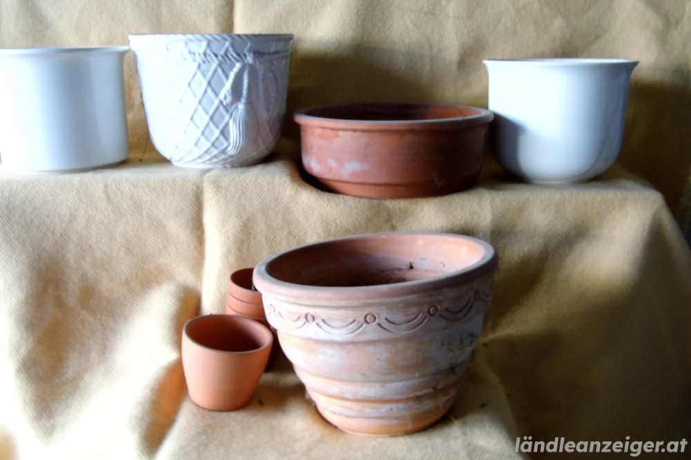 Blumen-Übertöpfe zu verschenken