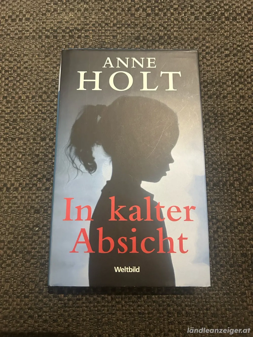 In kalter Absicht, Anne Holt