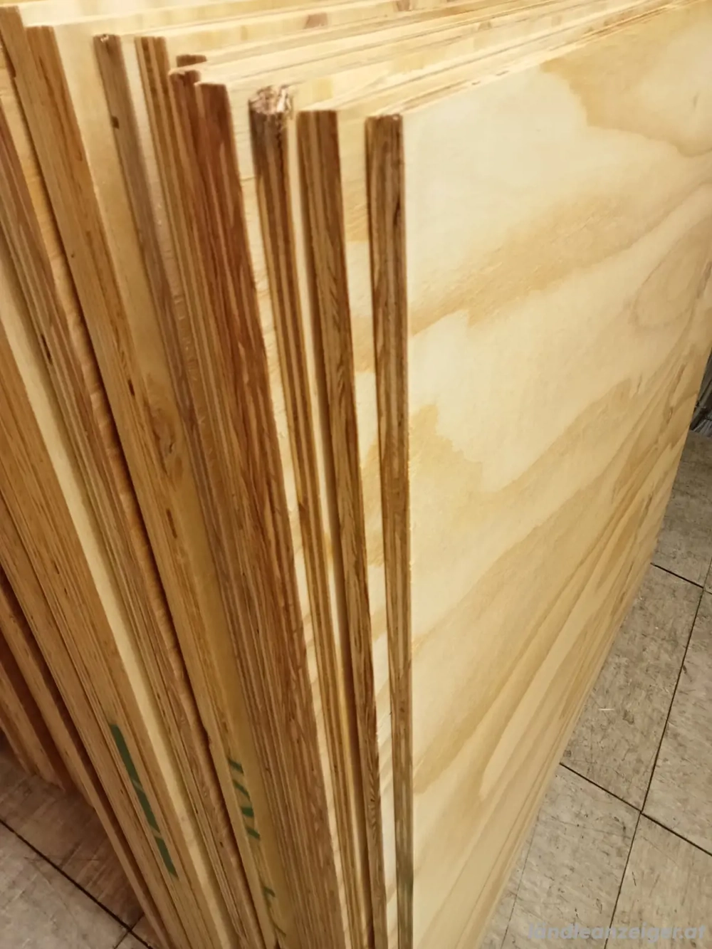 Multiplex Birke  platten  Neu 