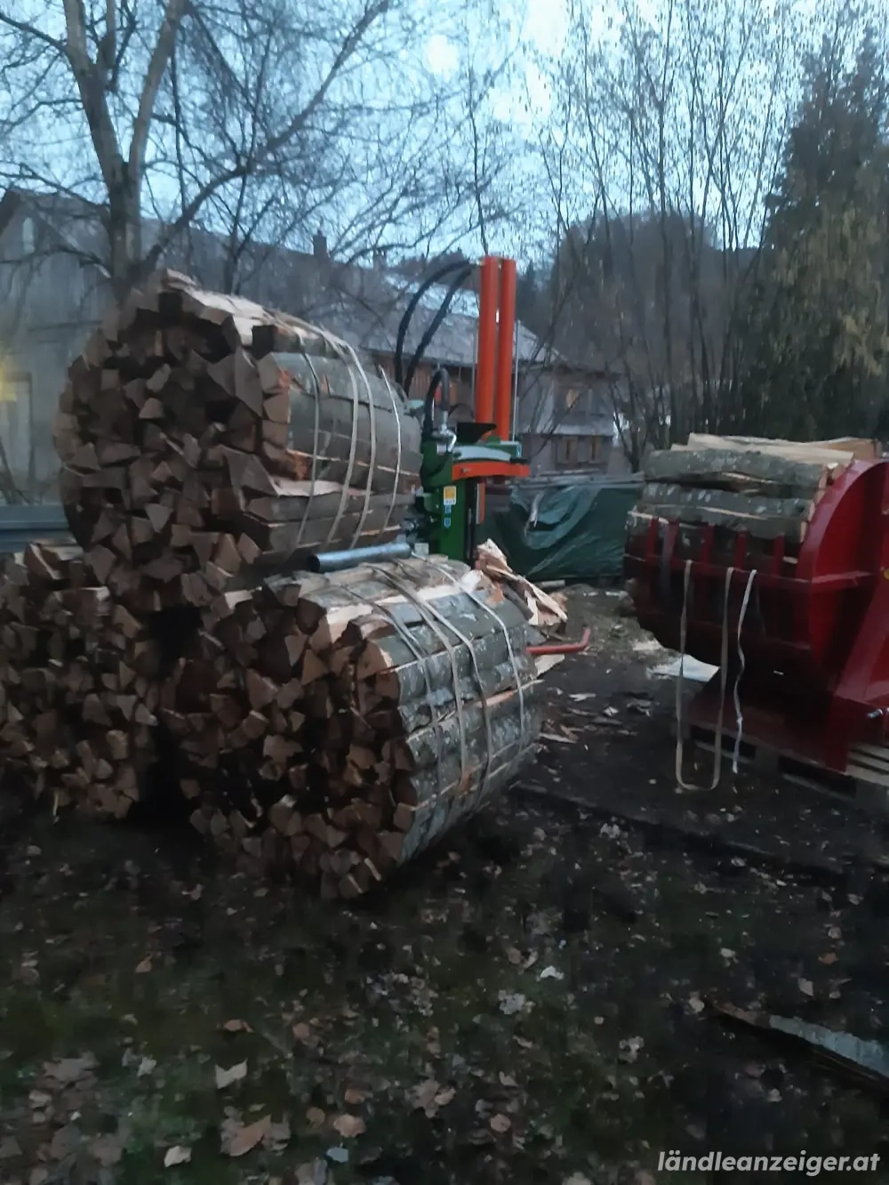 Trockenes Brennholz (Buche)