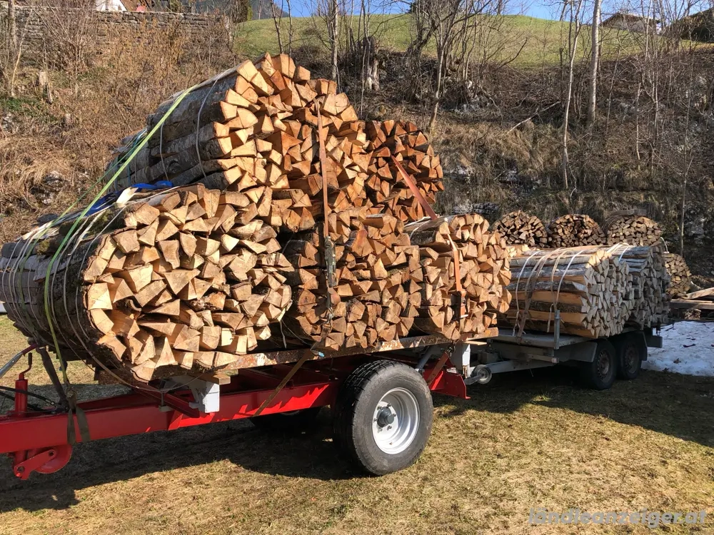 Trockenes Brennholz (Buche, oder Esche)