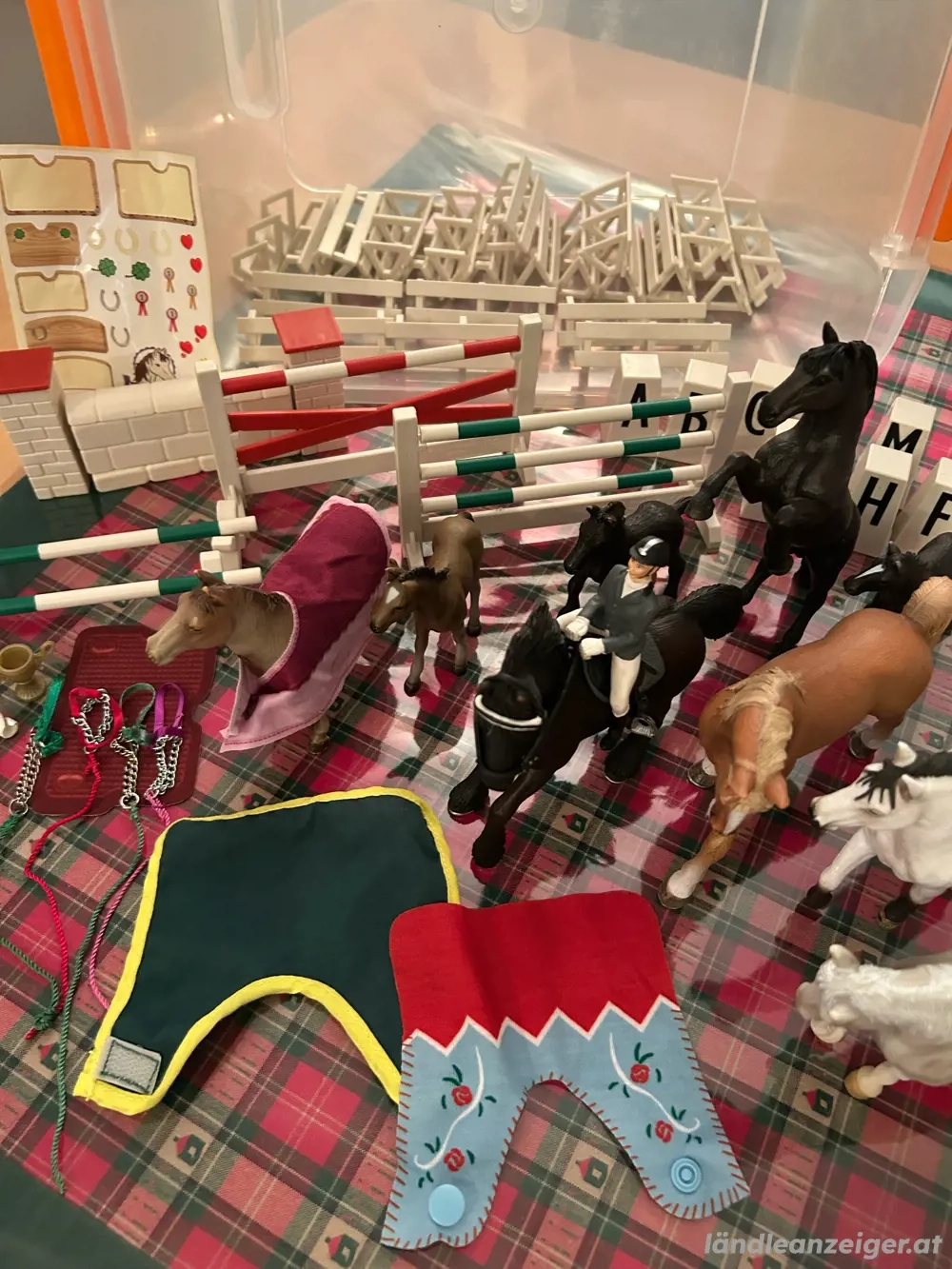 Pferdeparkour mit 9 Pferden, 1 Reiterin