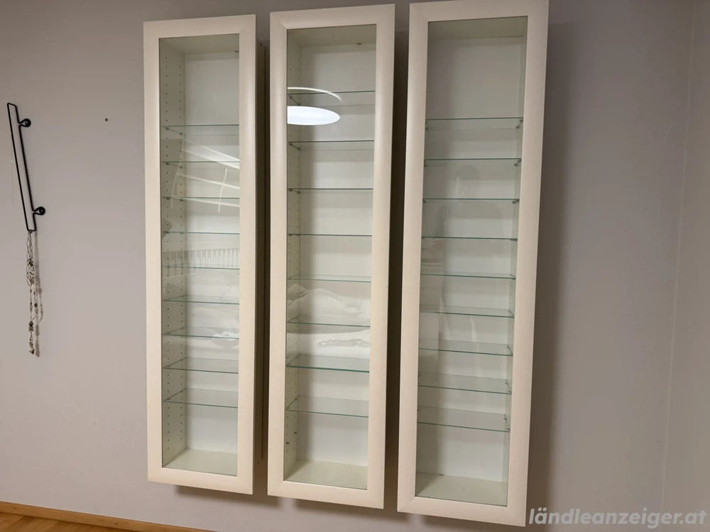 Schöner Kasten mit Glasfächer