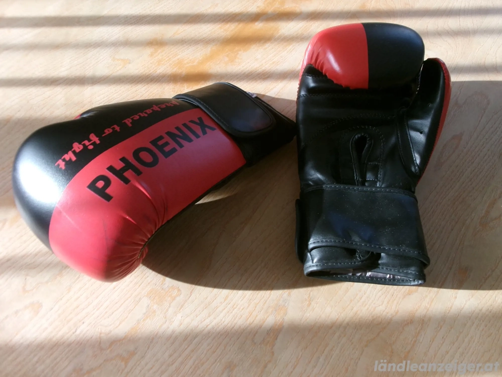 Boxhandschuhe Phoenix