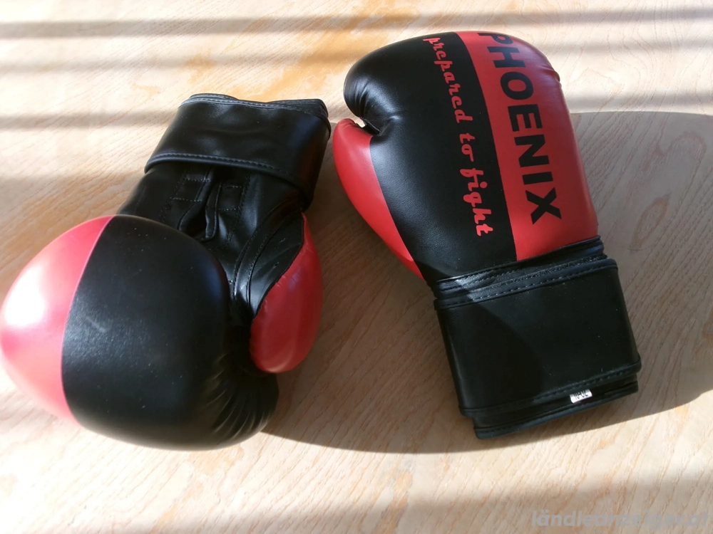 Boxhandschuhe - Phoenix + Handschutz 