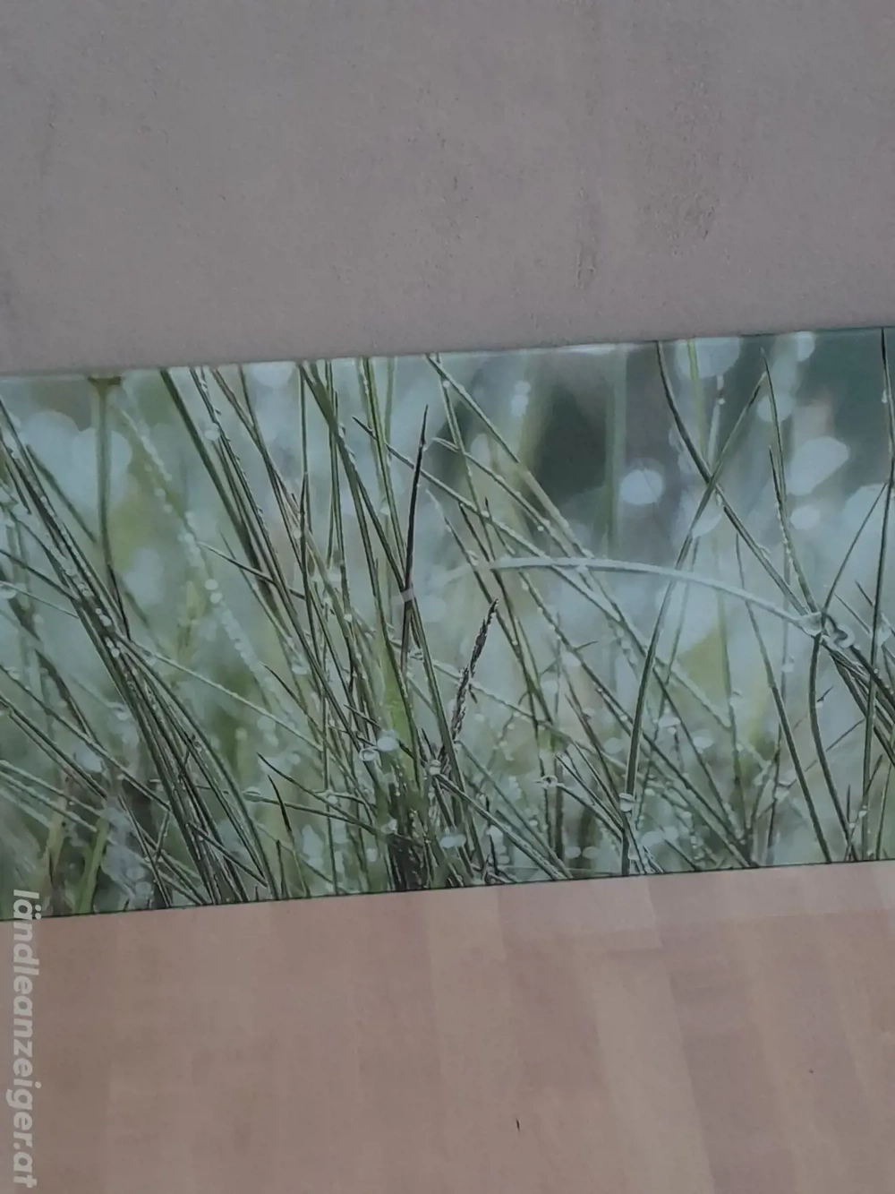 Glasbild zu verkaufen 