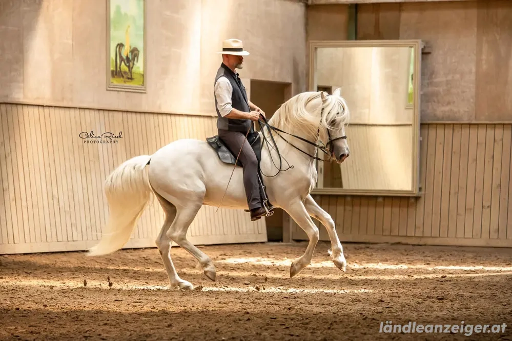 Reitkurs Bent Branderup in Senden DE