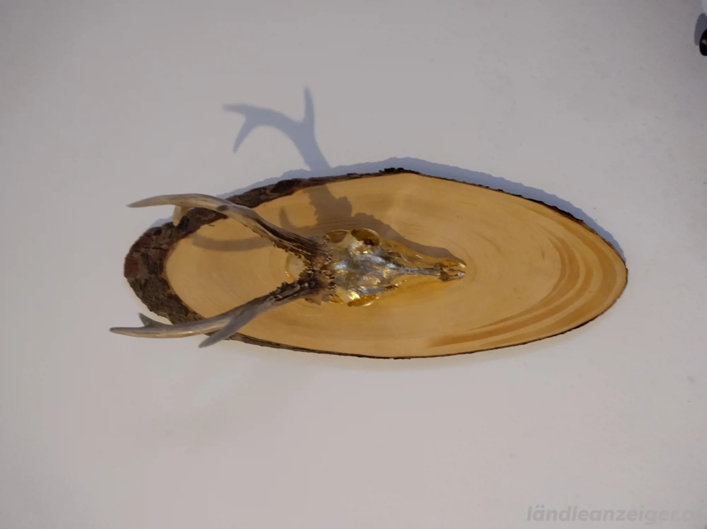 Rehpock auf baumscheiben. 