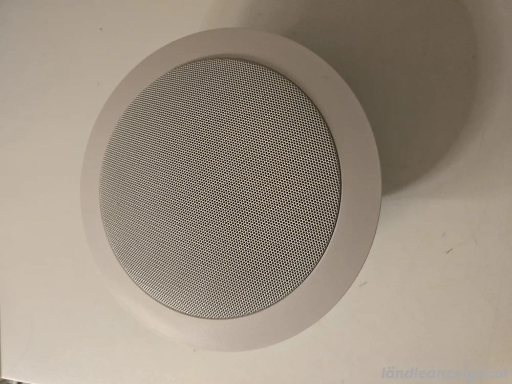 RC-110 Professionelle Lautsprecher Marke RTS