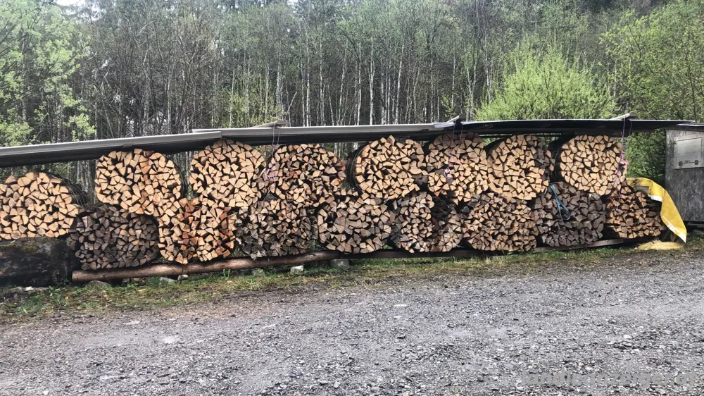 Trockenes Brennholz (Buche)