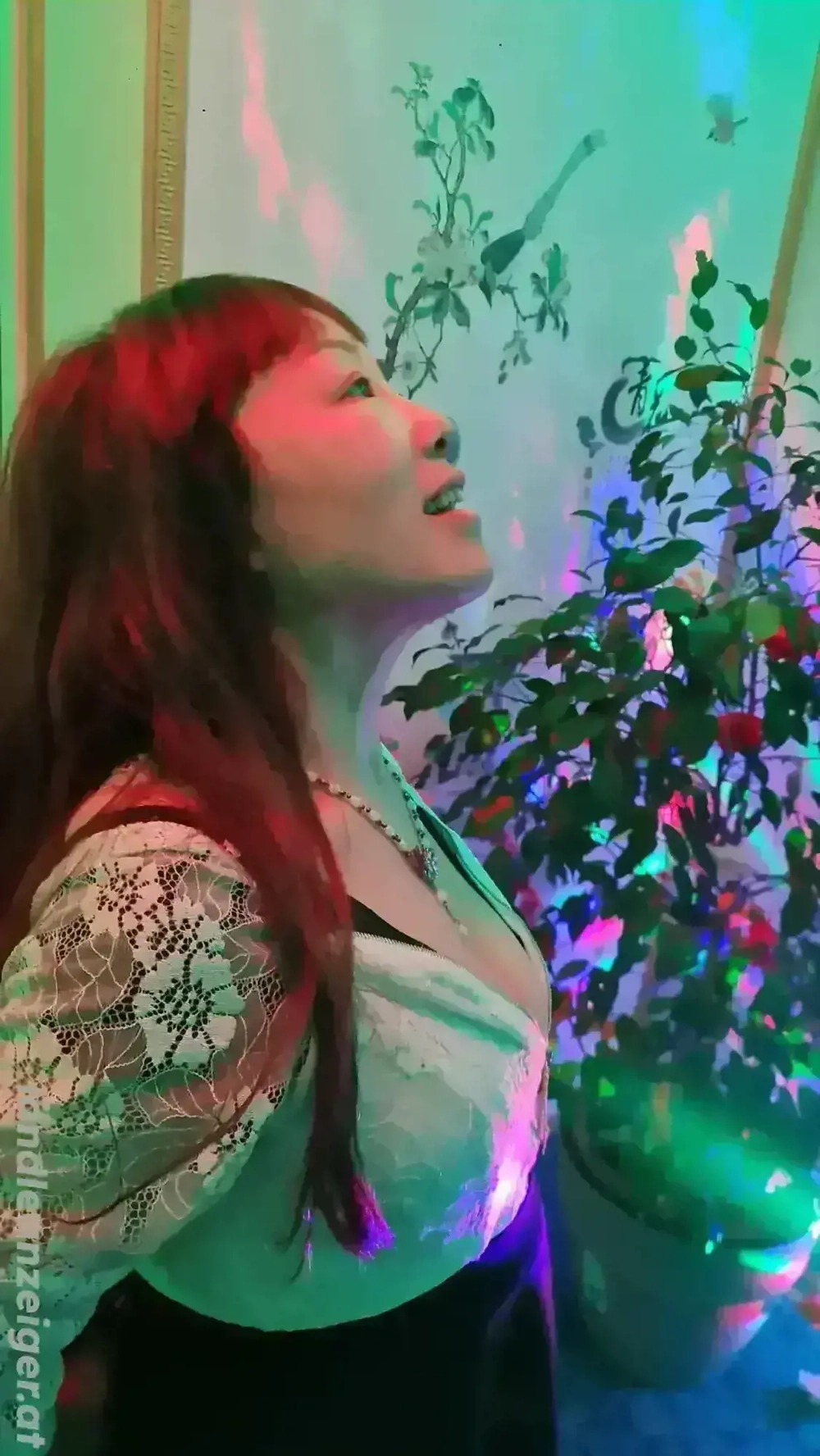 Bodensee Massage in Friedrichshafen - Highlight der Woche 