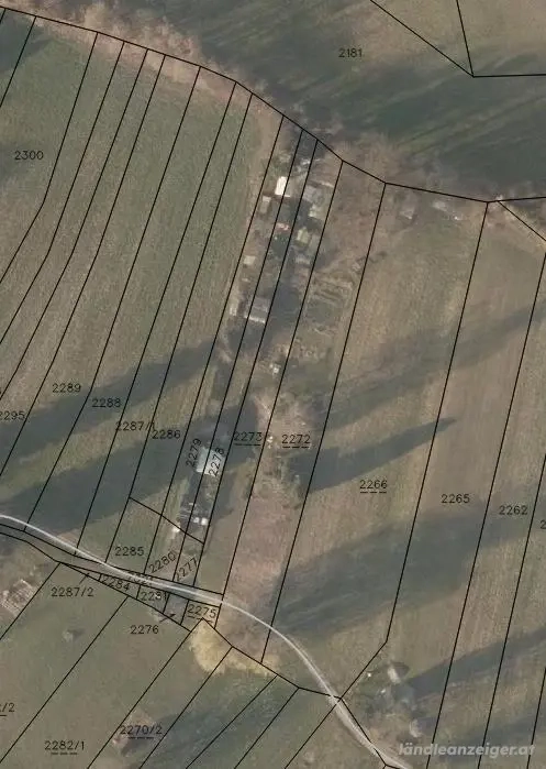 Ackerfläche ca 500 m  in Hohenems zum Gemüseanbau zu verpachten