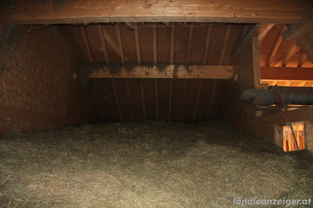 Verkaufe: Sonnegetrocknetes Heu